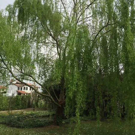 Ca L'oasi Bed & Breakfast